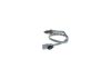 Oxygen Sensor -