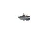 Alternator Regulator -