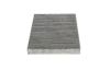 Filter, cabin air Iveco