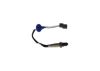 Oxygen Sensor -
