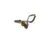 Oxygen Sensor Oxygen Sensor