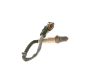 Oxygen Sensor Oxygen Sensor