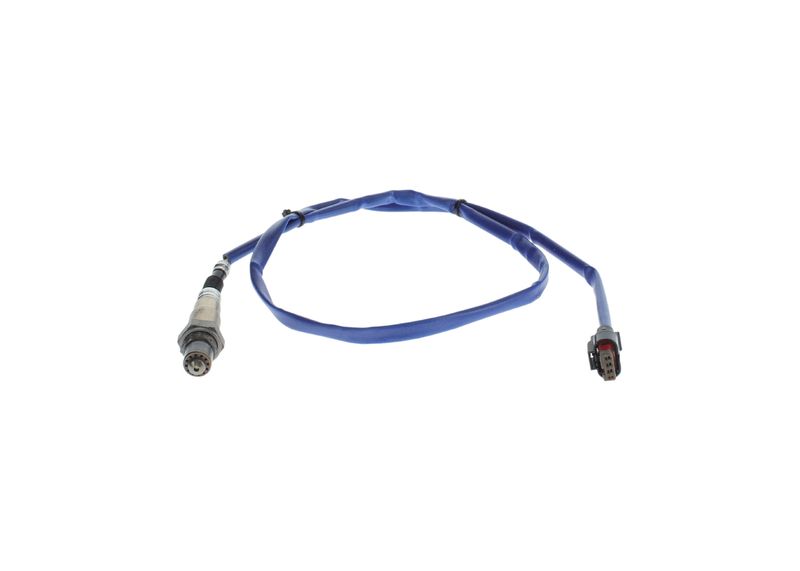 Oxygen Sensor -