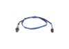Oxygen Sensor -
