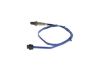 Oxygen Sensor -