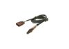Oxygen Sensor -