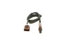 Oxygen Sensor -