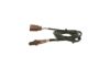 Oxygen Sensor -