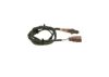 Oxygen Sensor -