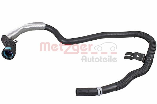 Radiator Hose -