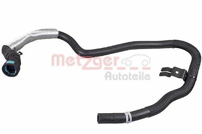 Radiator Hose -