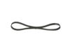 V-Ribbed Belt 5PK970