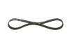 V-Ribbed Belt VAG - 045 903 137E - 6PK858