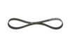 V-Ribbed Belt VAG - 045 903 137E - 6PK858