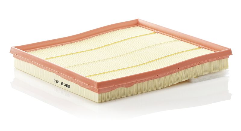 Air Filter BMW 535i 2010-