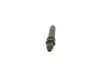 Nozzle and Holder Assembly -