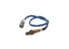 Oxygen Sensor -