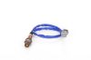 Oxygen Sensor -