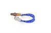 Oxygen Sensor -