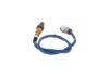 Oxygen Sensor -