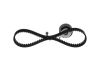 Timing Belt Kit -