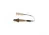 Oxygen Sensor -