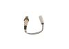 Oxygen Sensor -