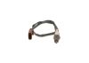 Oxygen Sensor Oxygen Sensor