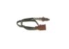 Oxygen Sensor Oxygen Sensor