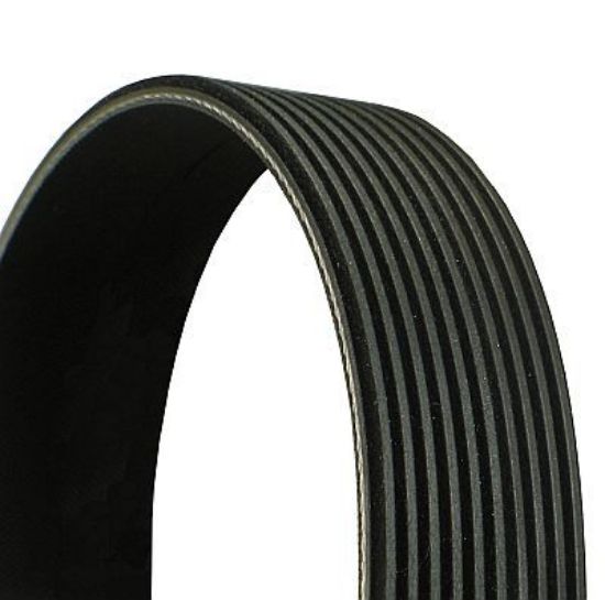 V-Ribbed Belt 10PK1145-CONT