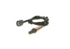 Oxygen Sensor -