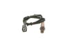 Oxygen Sensor -