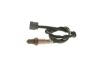 Oxygen Sensor -
