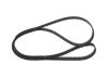 Timing Belt -