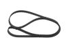 Timing Belt -