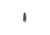 Nozzle and Holder Assembly -