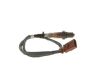 Oxygen Sensor Oxygen Sensor