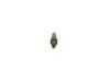 Nozzle and Holder Assembly -
