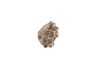 Fuel Pump Diesel Spare Parts (modern)