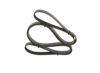 V-Ribbed Belt 6PK2120