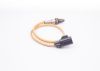 Oxygen Sensor -