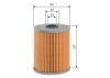 Oil Filter, retarder -