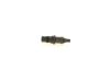 Nozzle and Holder Assembly -
