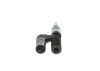 Unit Injector (UI) -