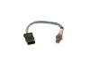 Oxygen Sensor -