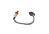 Oxygen Sensor -