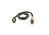Oxygen Sensor -