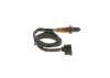 Oxygen Sensor -