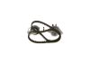 Water Pump & Timing Belt Kit -