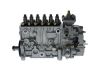 lnjection Pump -